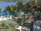 Korcula charming stone house by the sea – the house is surrounded by wonderful Mediterranean vegetation