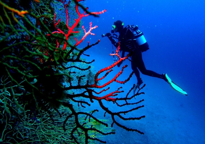 Scuba diving on Korcula Island?